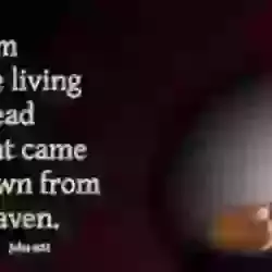 9.30am Sunday 9th, August -Tenth Sunday after Trinity